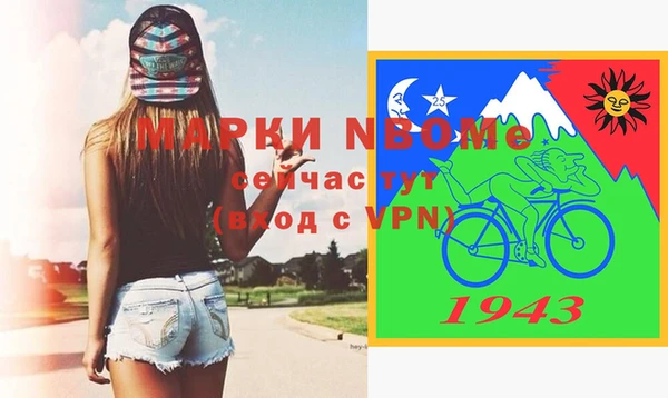 гашик Надым